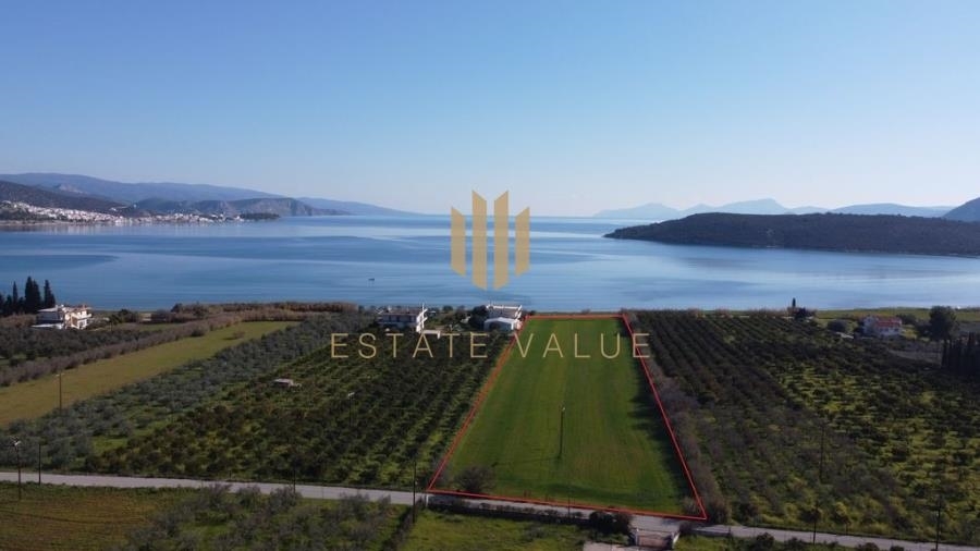 (For Sale) Land Plot || Argolida/Ermioni - 11.000 Sq.m, 800.000€ 