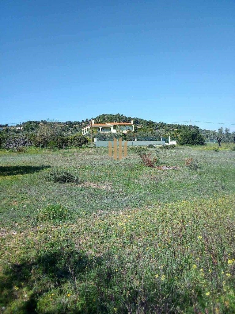 (For Sale) Residential Detached house || Argolida/Kranidi - 160 Sq.m, 4 Bedrooms, 470.000€ 