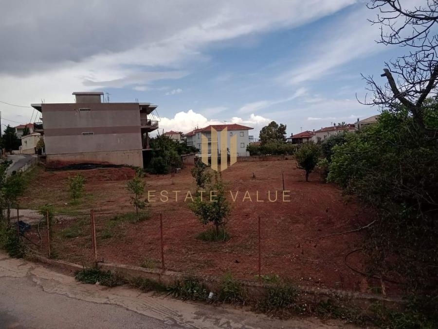 (For Sale) Land Plot || Arkadia/North Kynouria - 2.400 Sq.m, 120.000€ 