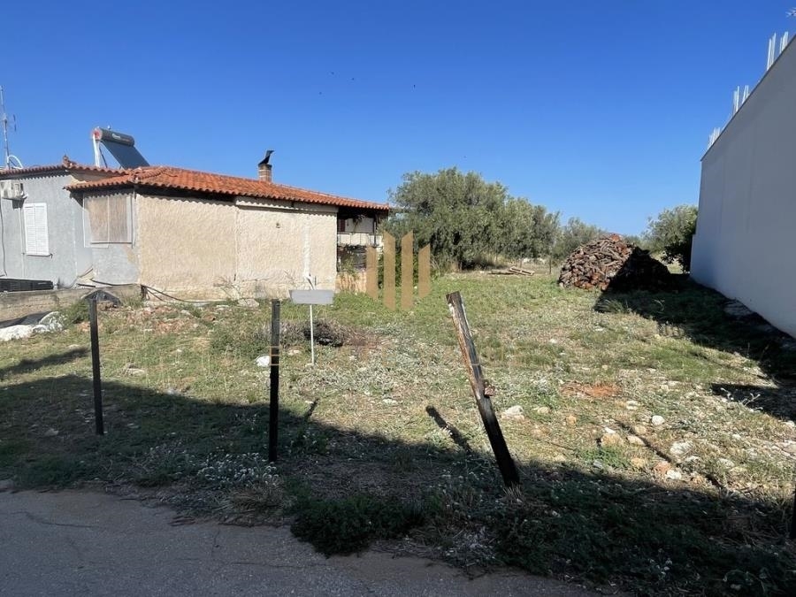(For Sale) Land Plot || Argolida/Lerna - 308 Sq.m, 39.000€ 