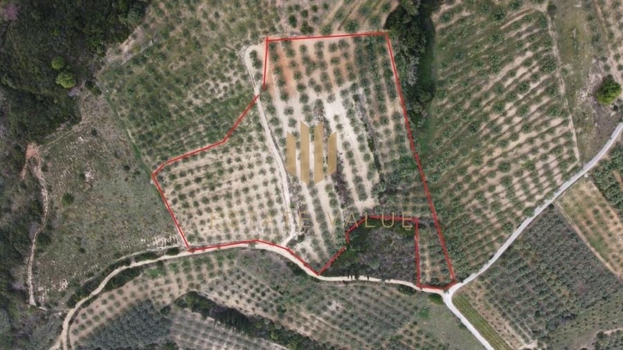 (For Sale) Land Agricultural Land  || Argolida/Mykines - 34.000 Sq.m, 90.000€ 
