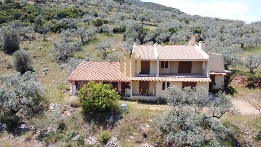 (For Sale) Residential Detached house || Argolida/Epidavros - 300 Sq.m, 4 Bedrooms, 580.000€ 