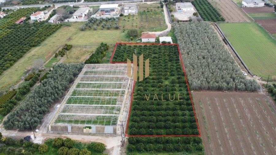 (For Sale) Land Agricultural Land  || Argolida/Argos - 4.275 Sq.m, 48.000€ 