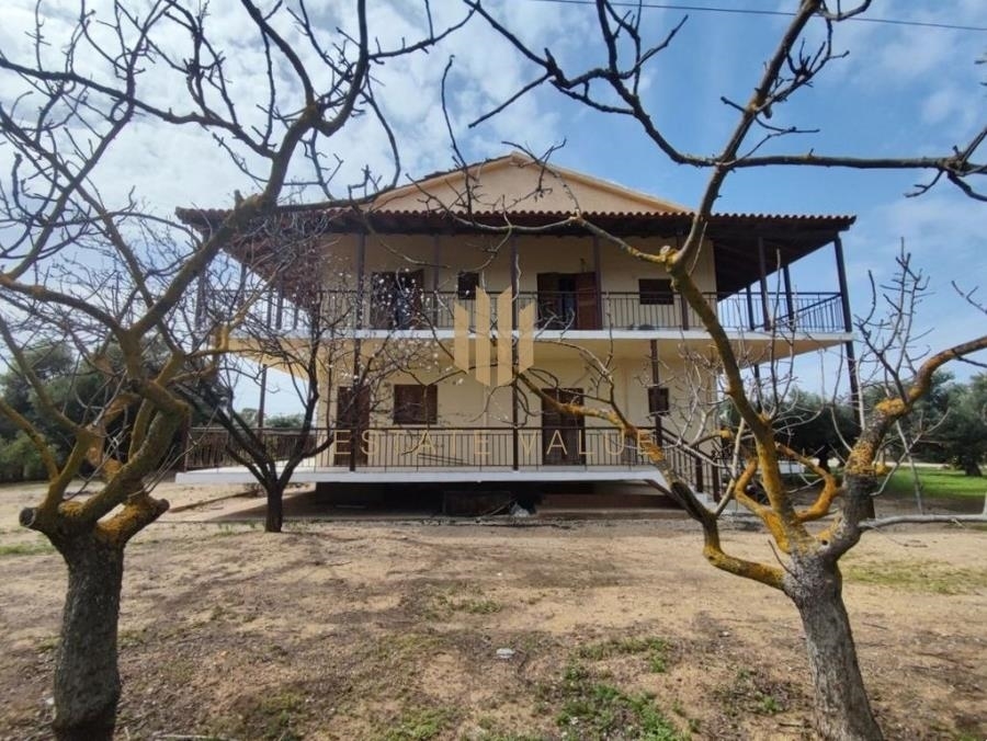 (For Sale) Residential Detached house || Korinthia/Loutraki-Perachora - 330 Sq.m, 5 Bedrooms, 400.000€ 