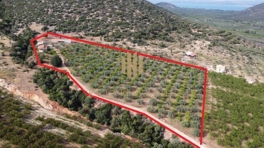 (For Sale) Land Agricultural Land  || Argolida/Lerna - 16.400 Sq.m, 178.000€ 