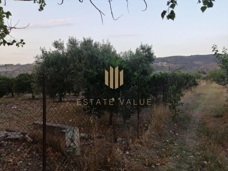 (For Sale) Land Plot || Argolida/Nafplio - 5.919 Sq.m, 130.000€ 