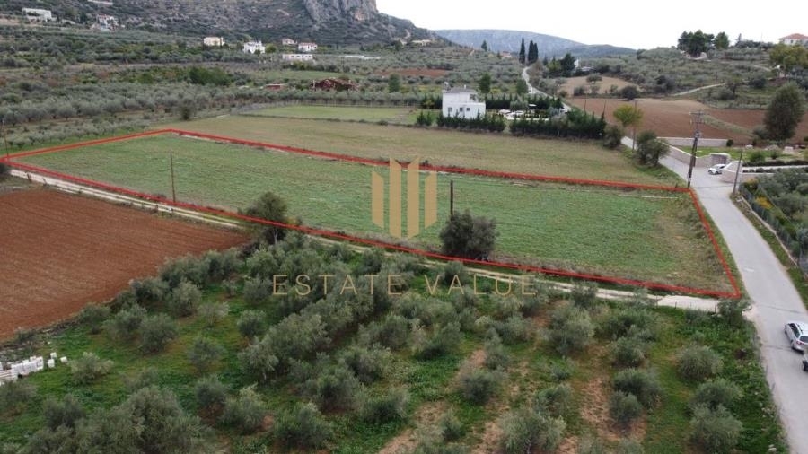 (For Sale) Land Agricultural Land  || Argolida/Nea Tiryntha - 5.500 Sq.m, 100.000€ 